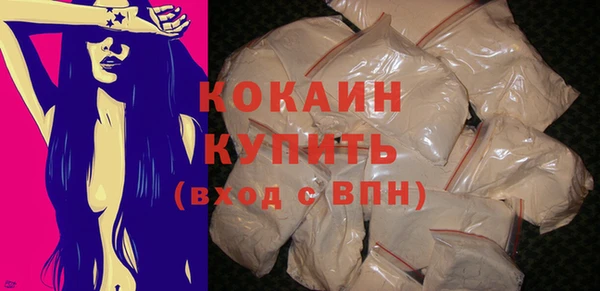 индика Пестово