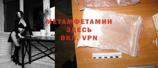 индика Пестово