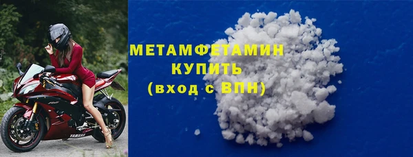 индика Пестово
