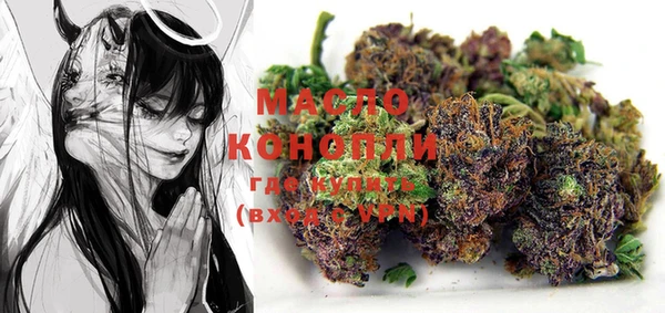 индика Пестово