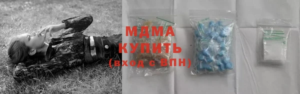 МДПВ Пересвет