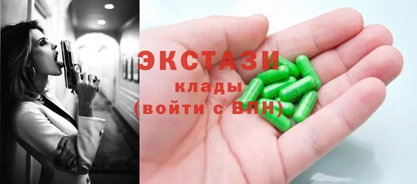 МДПВ Пересвет