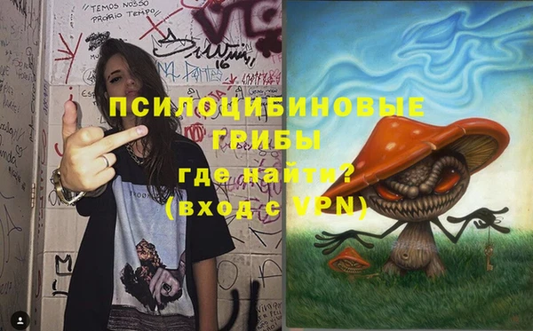 MDMA Premium VHQ Грязовец