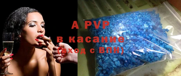 МДПВ Пересвет